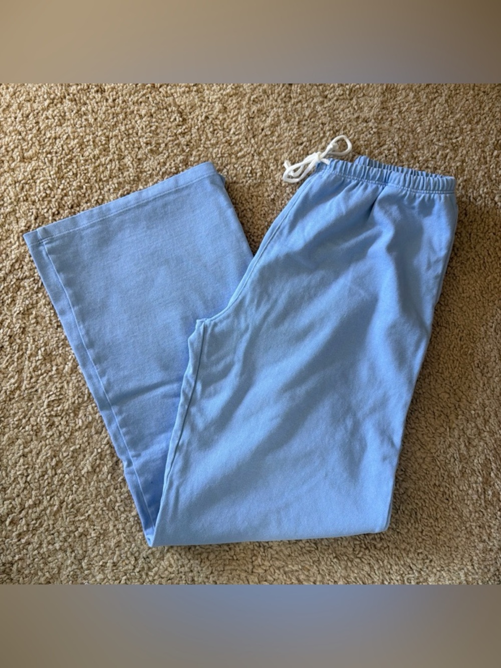 Brandy melville light blue Anastasia sweatpants